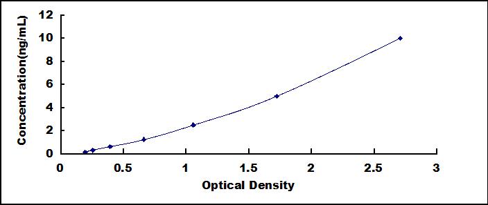 46243