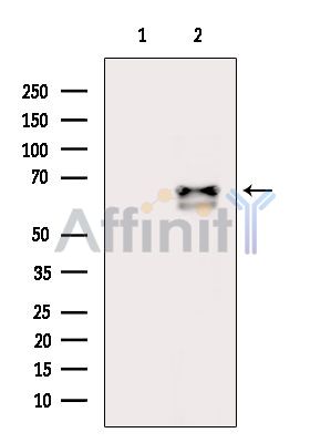 Валидация Affinity DF4839 - 16605