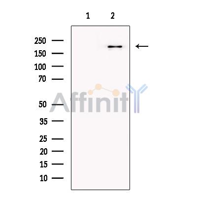 Валидация Affinity DF13607 - 9107