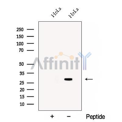 Валидация Affinity DF12895 - 7640