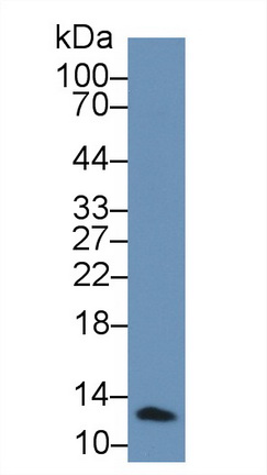 14762