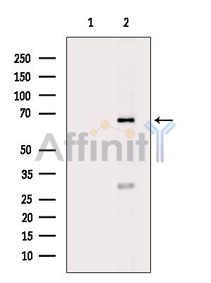 Валидация Affinity DF9503 - 22128