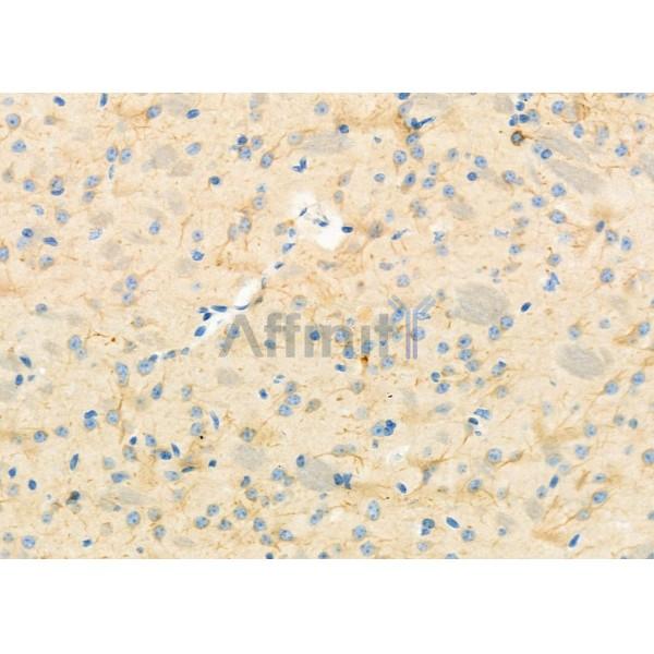 Валидация Affinity DF12462 - 7008