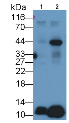 7648