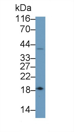 22757