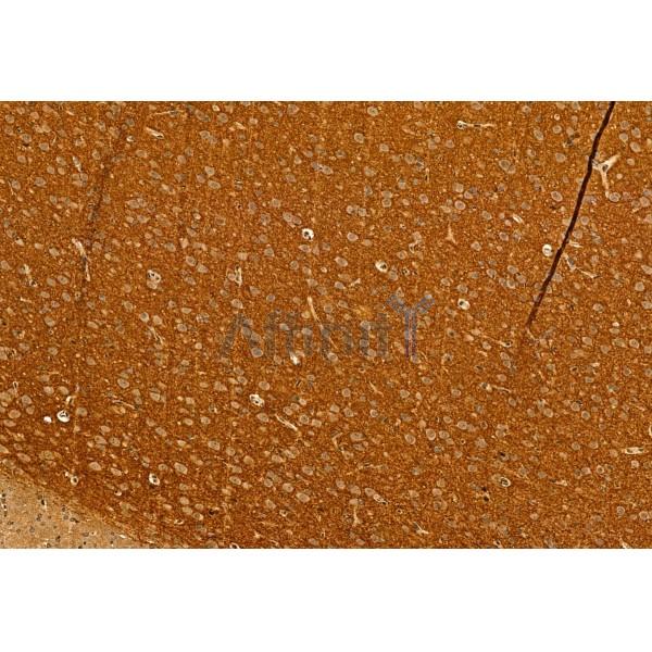 Валидация Affinity DF12055 - 6110