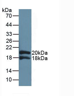 49353