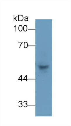13409