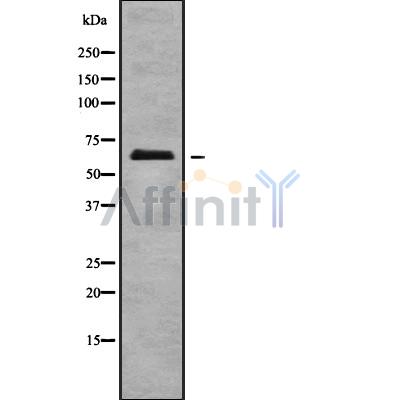 Валидация Affinity DF10163 - 5696