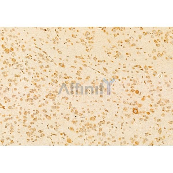 Валидация Affinity DF8553 - 20445