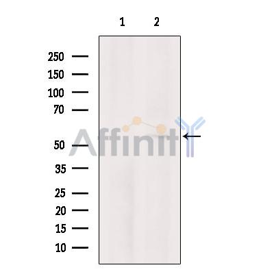 Валидация Affinity DF7686 - 19462