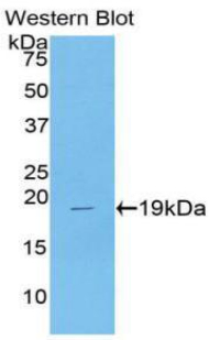 38689