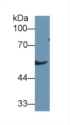 13397