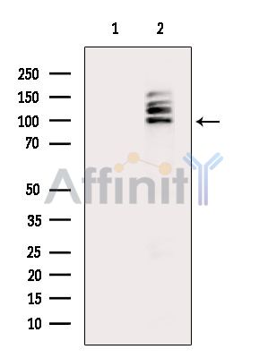 Валидация Affinity DF14823 - 10929