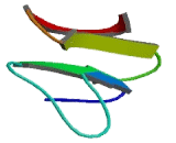 Keratin 16 (KRT16)