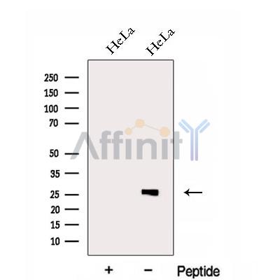 Валидация Affinity DF12975 - 7749