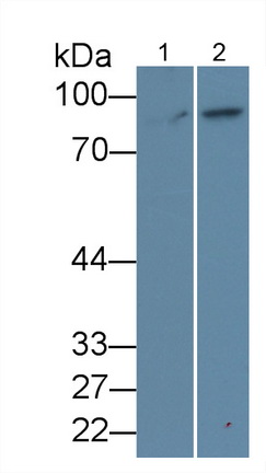 5893