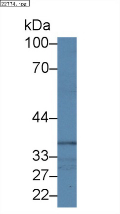 9922
