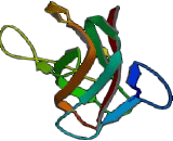 Contactin Associated Protein Like Protein 4 (CNTNAP4)
