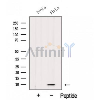 Валидация Affinity DF12633 - 7273