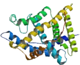 Nuclear Receptor Subfamily 3, Group C, Member 1 (NR3C1)