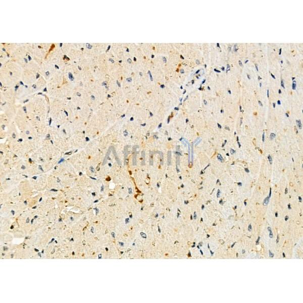 Валидация Affinity DF9110 - 21418