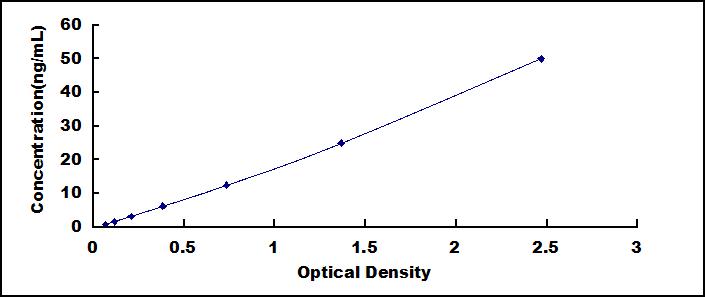 51076