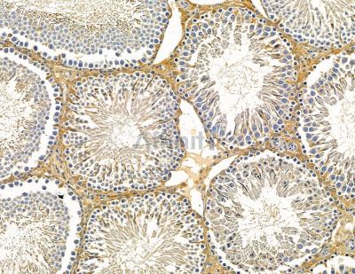 Валидация Affinity DF14982 - 11185