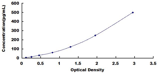 65472