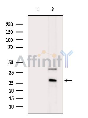 Валидация Affinity DF15603 - 12027