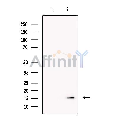 Валидация Affinity DF13400 - 8674
