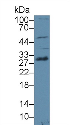 12789