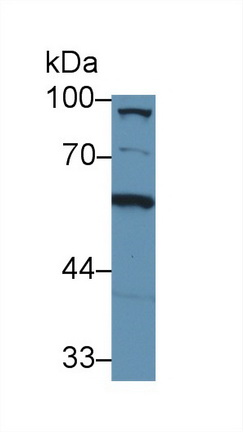 8866