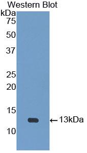 39279