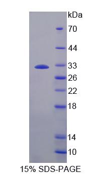59720