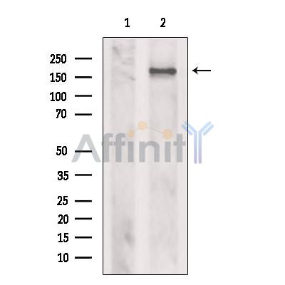 Валидация Affinity DF8622 - 20553