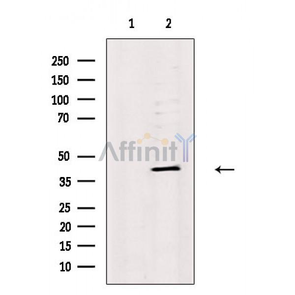 Валидация Affinity AF6719 - 3973