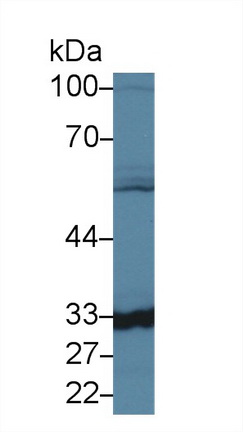 10128