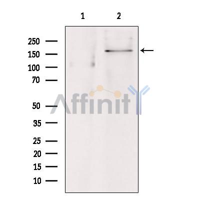 Валидация Affinity DF9254 - 21686