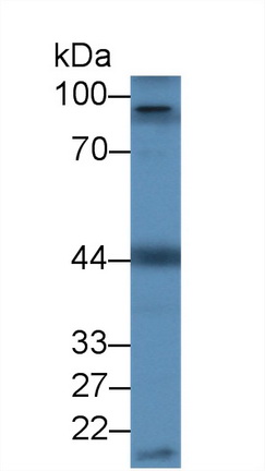 12878