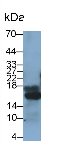 2983