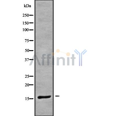 Валидация Affinity DF9358 - 21866