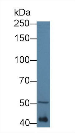 8759