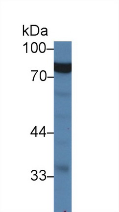 9874