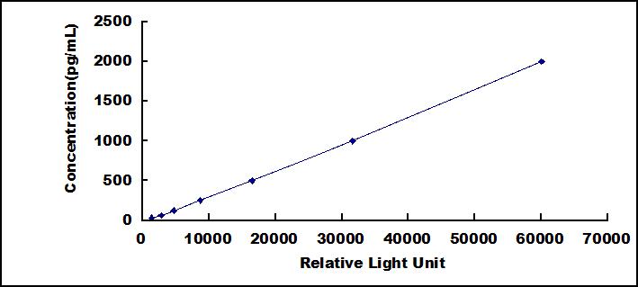 65084