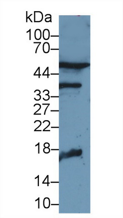 13142