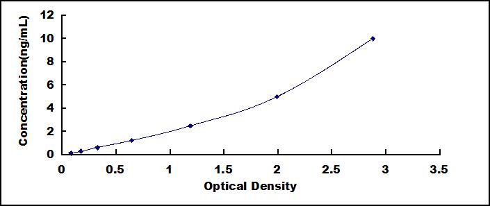 65118