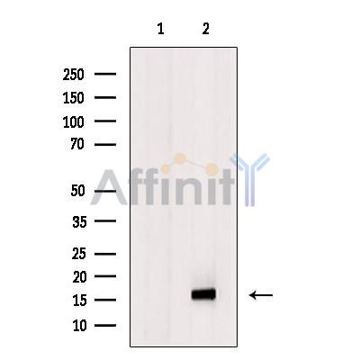 Валидация Affinity AF7019 - 4166