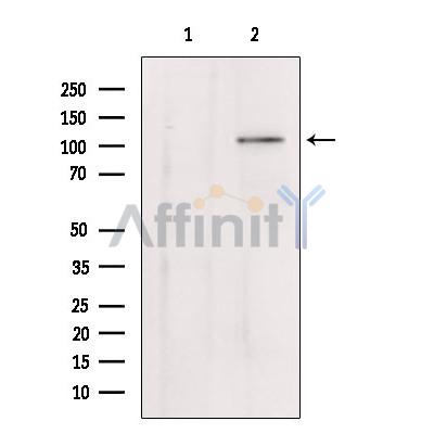 Валидация Affinity DF10309 - 5930
