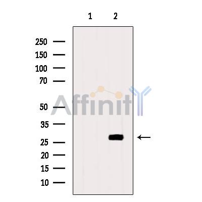 Валидация Affinity DF3544 - 14491